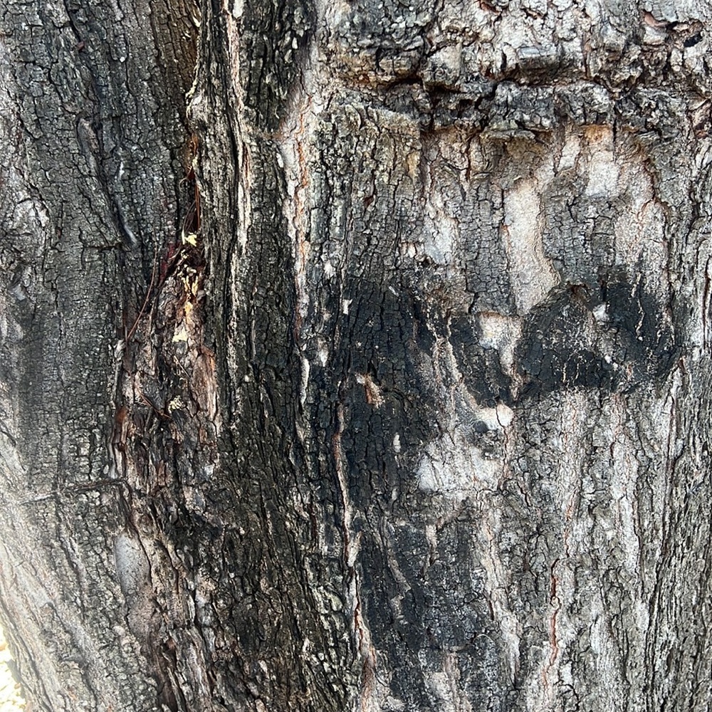 Meet your Posher, Melvin